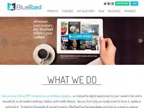 bluetoad.com